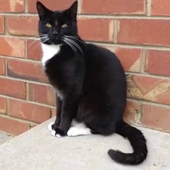 Meet your Posher, Z Y X - Picture 1 of 1